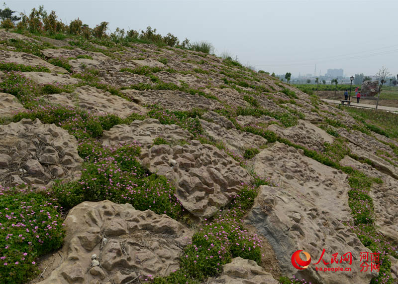 河南宝丰:用南水北调开挖土石方堆成"五岳名山【5】