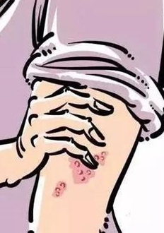 ��״����ĳ�������