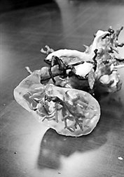 3D�����ڸε�����Ƶ�Ӧ��