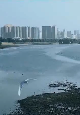 ɹüҵ κءƪ