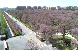 河南兰考“1+3”社会扶贫:群众心热起来、脚动起来
暮春四月,桐花竞放,河南兰考满城馨香。
吃罢早饭,谷营镇二村贫困户赵占领踱着碎步来到镇子上的“爱心公益超市”。百十平的小超市里,米面油盐、衣服、拖鞋、书包等日常用品被摆放得整整齐齐。奇怪得是,都没标价,取而代之的是5分、10分、30分等字样。
【详细】