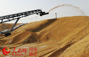藏粮于地 藏粮于技 让“中国碗”多盛“河南粮”
中原熟,天下足。
8600万亩小麦颗粒归仓,今年又是一个丰收年!近年来,河南粮食连年丰收,总产量稳定在1300亿斤左右。全国1/10的粮食、超过1/4的小麦均产自这里,“粮仓”实至名归。
【详细】
