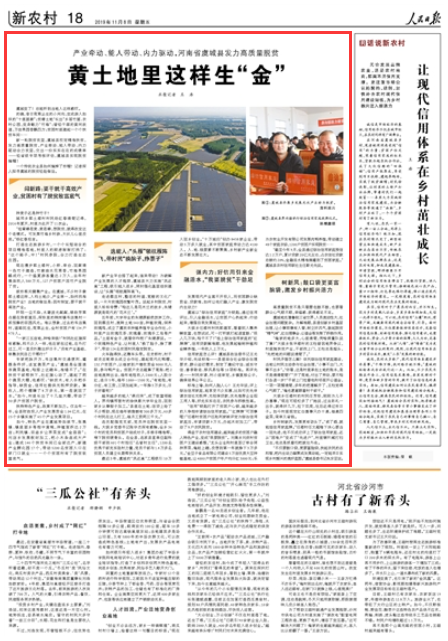 2019-11-08
产业牵动、能人带动、内力驱动,河南省虞城县发力高质量脱贫:黄土地里这样生“金”
虞城变了!总能听到当地人这样感叹。
的确,昔日荒草丛生的小河沟,变成游人如织的“十里画廊”;贫瘠土地“长出”乡居竹屋、农村公园,变身魅力“竹海”;曾经干涸的黄河故道,万亩果园香飘四方;贫困村里建起一个个扶贫车间……
【详细】