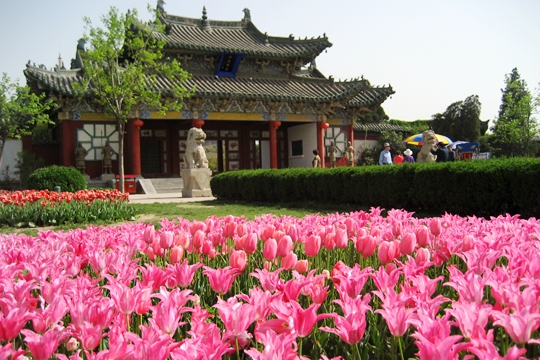 ӵ 첨ٰϵ