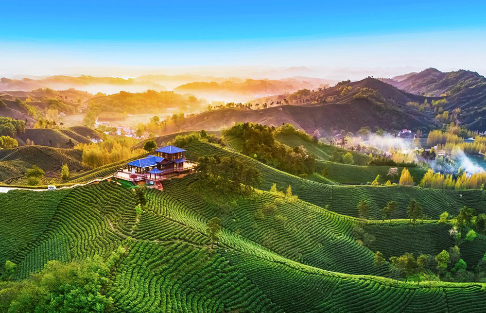 茶山晨韵（吴敏）