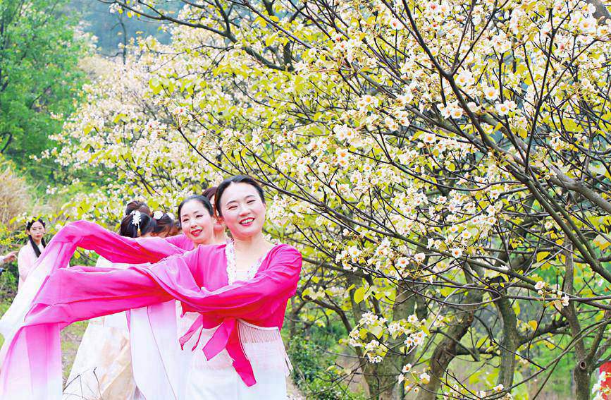 ���̨��ͩ��������������