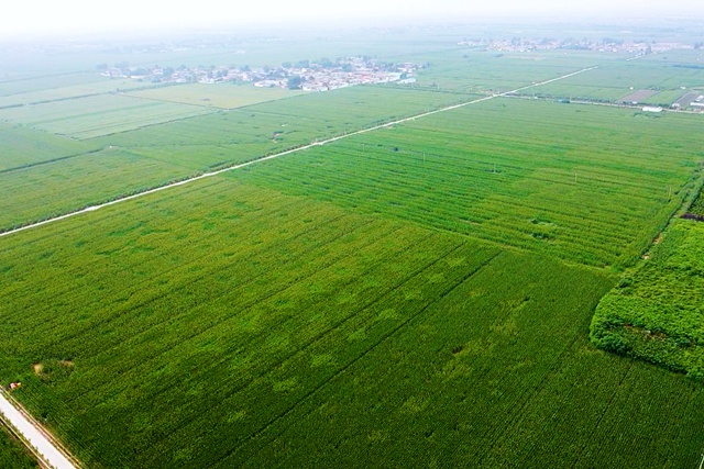 宝丰:七万余亩高标准农田安然度汛