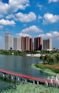 ���з�� ţ������