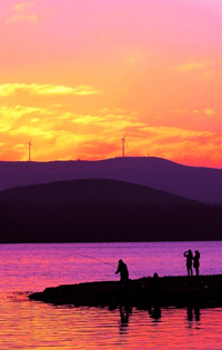 ��ӳ��� ��������