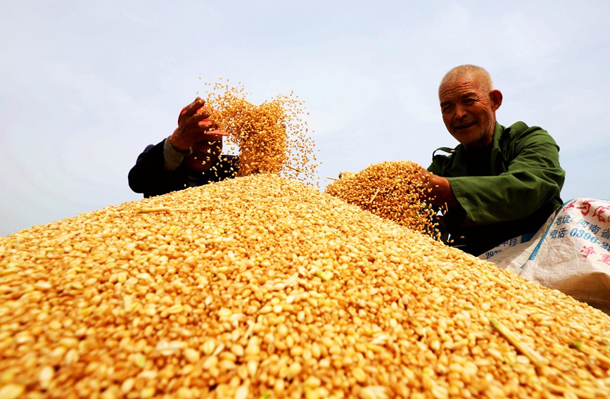 С������ˡ���������