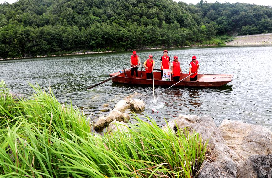 志愿者正在丹江支流紫气河中忙碌着。庞磊摄
