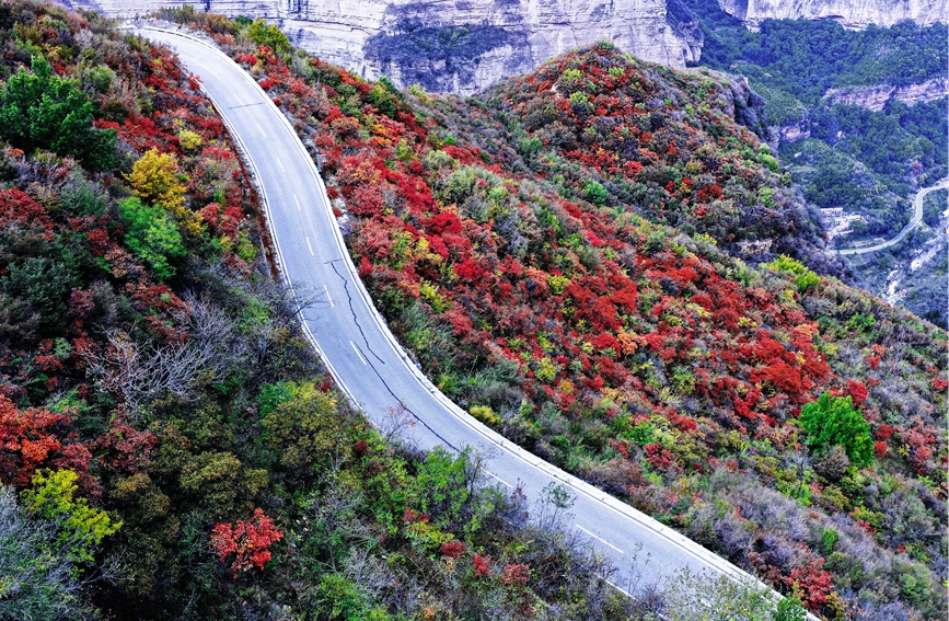 太行山秋色。吴宝山摄 