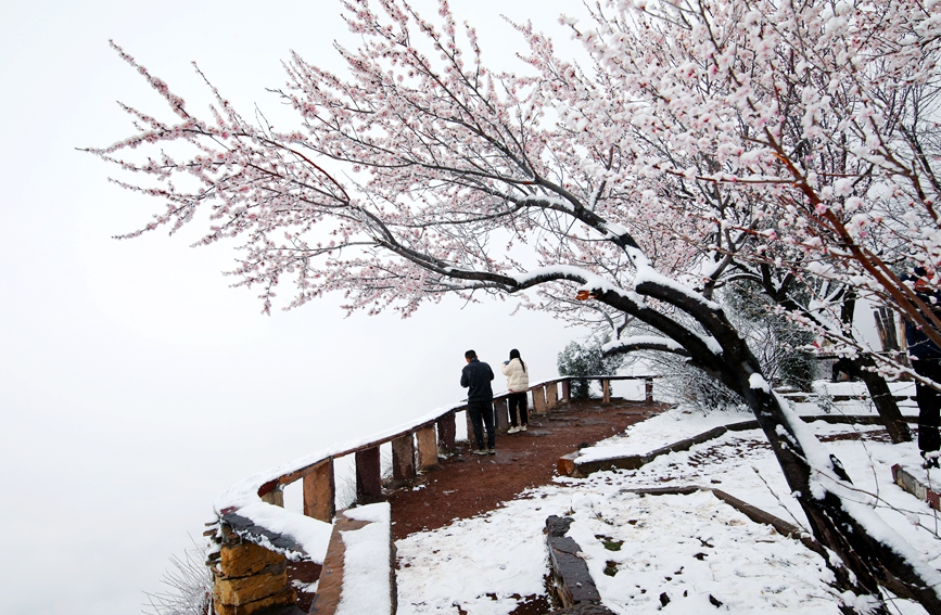 雪落太行，美成一幅天然水墨画。秦加福摄