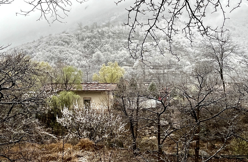 雪落太行，美成一幅天然水墨画。武龙飞摄