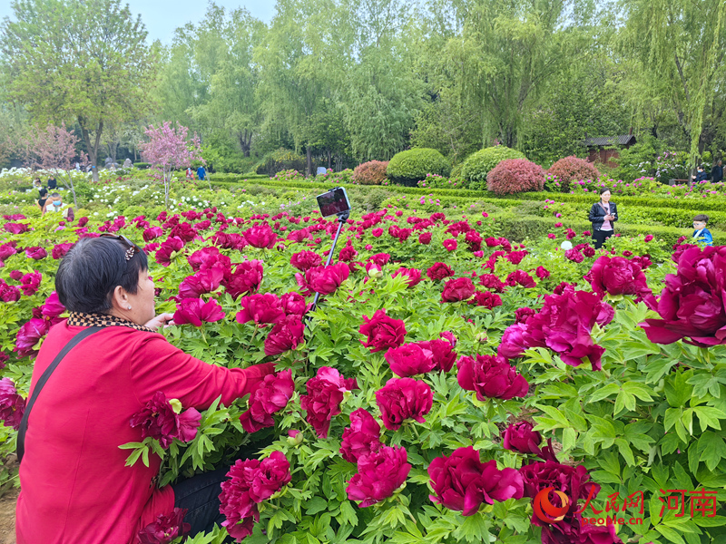 花海风光。人民网 王佩摄