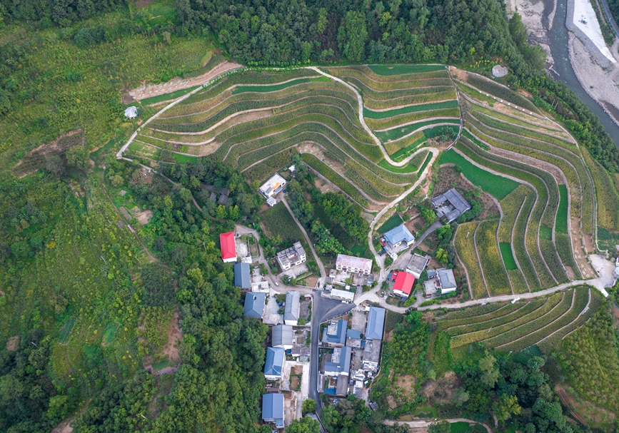 依山傍水的北乡村“铁路小镇”。卫心雨摄