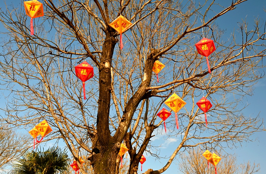 社旗县的大街小巷满目尽是喜庆的“中国红”，“年味儿”十足。申鸿皓摄