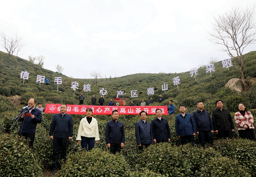 浉河港镇黑龙潭村活动现场。陈丹妮摄