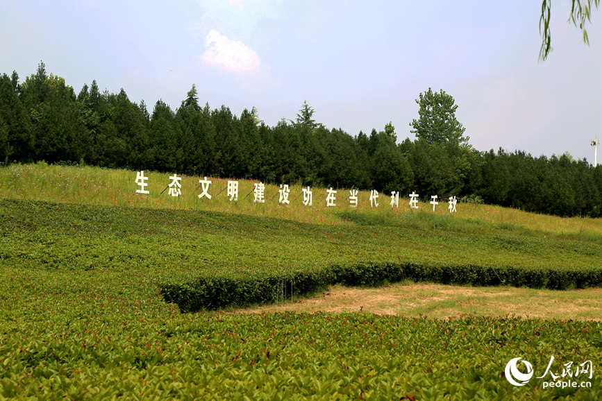 伊河城区段廊道环境优美。人民网 于思远摄