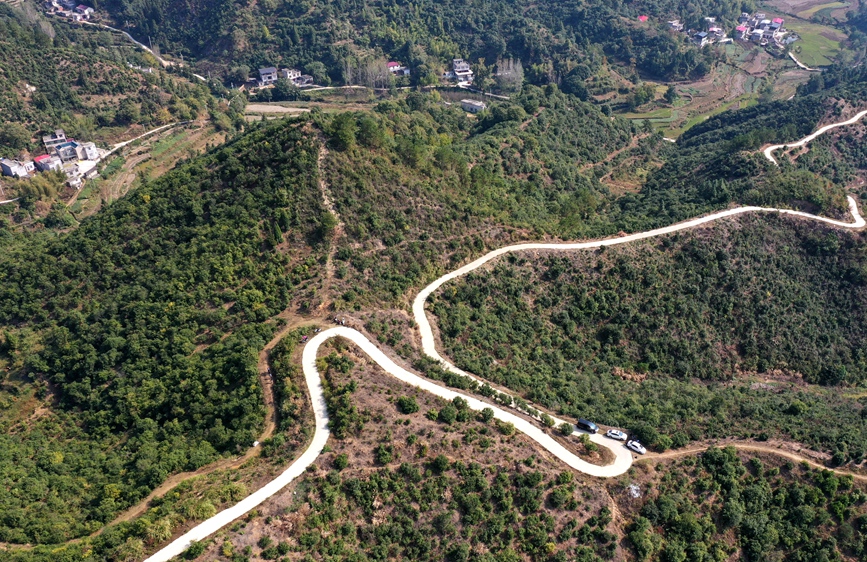 白沙岭万亩油茶基地。  李新春摄