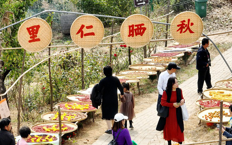 山中飘药香 “晒秋”时节致富忙