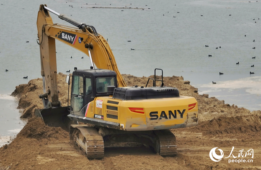 岸边的挖掘机轰鸣作业,不远处的水面上,成群的野鸭欢快嬉戏。人民网 常力元摄