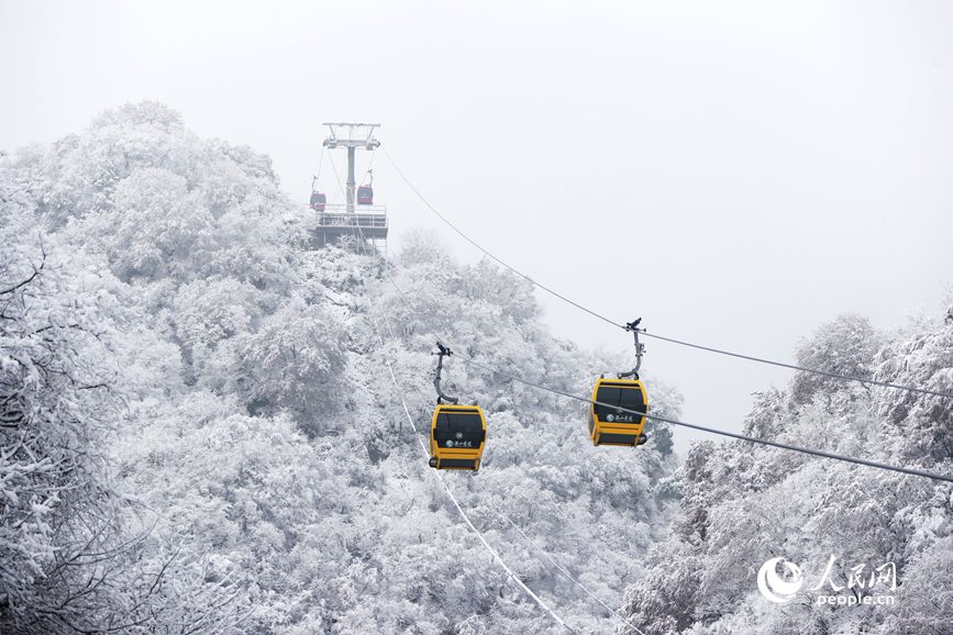 漫山遍野被白雪覆盖。人民网记者 慎志远摄