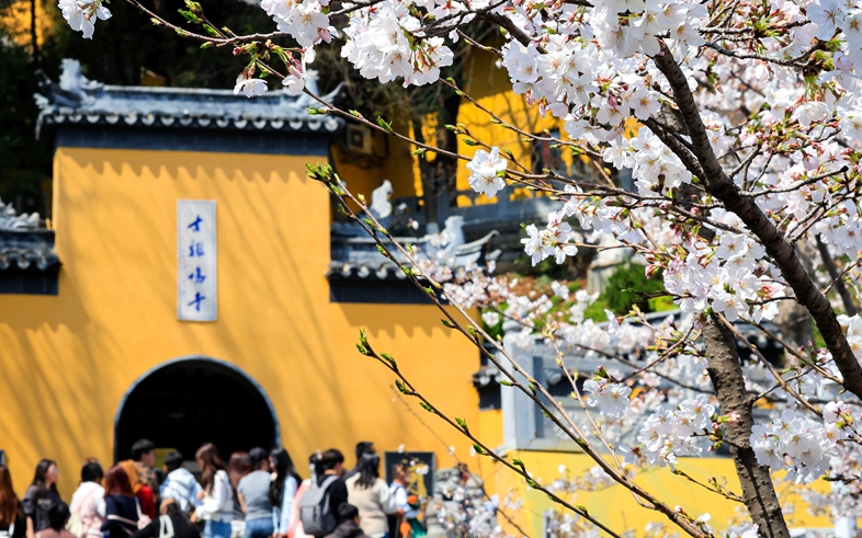 穿越时光的浪漫——当古建邂逅春光