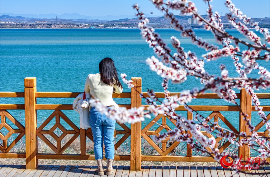 花开正艳，处处皆景。人民网 宋芳鑫摄