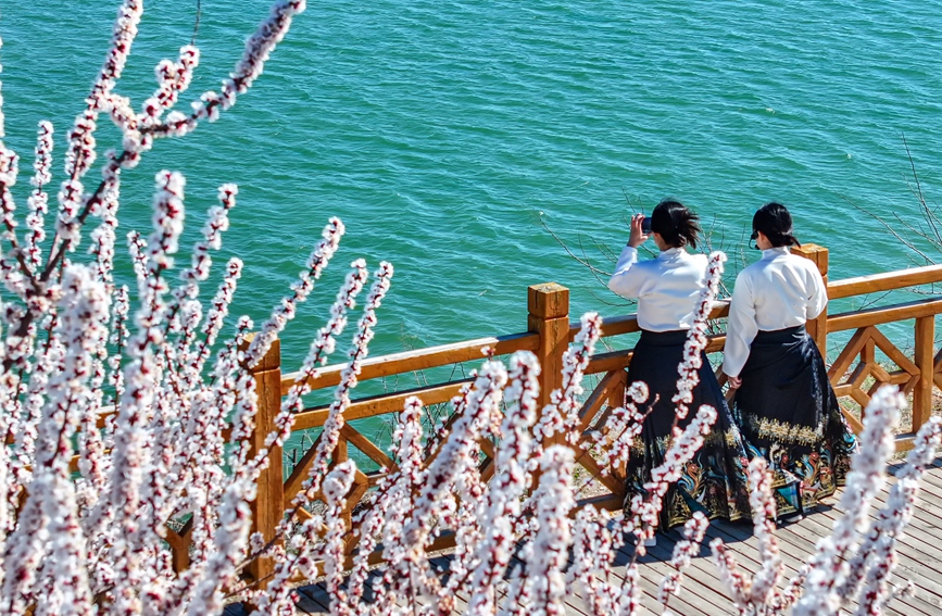 花开正艳，处处皆景。人民网 宋芳鑫摄