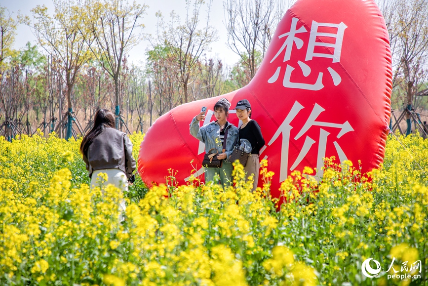 游客纷纷前来赏花打卡。人民网 程明辉摄