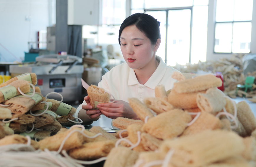 村民在制作丝瓜络产品。人民网 霍亚平摄
