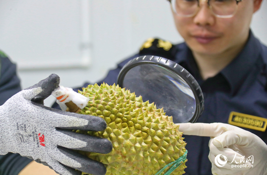 海关人员对货物进行查验。人民网 霍亚平摄 