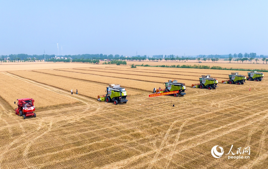 机收减损比赛现场。人民网记者 王玉兴摄