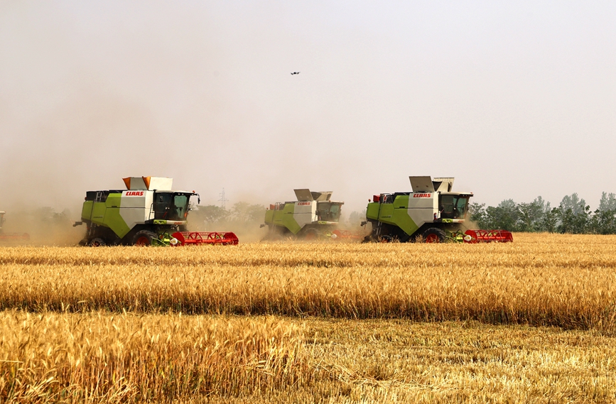 机收减损比赛现场。赵行舟摄