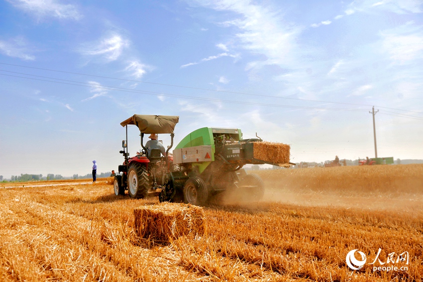 秸秆打捆。人民网 程明辉摄