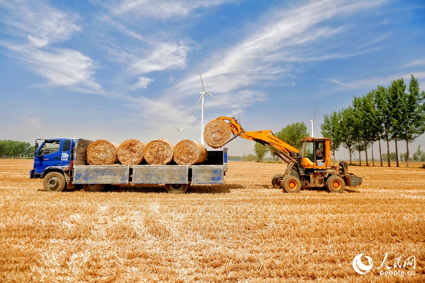 装运秸秆。人民网 程明辉摄