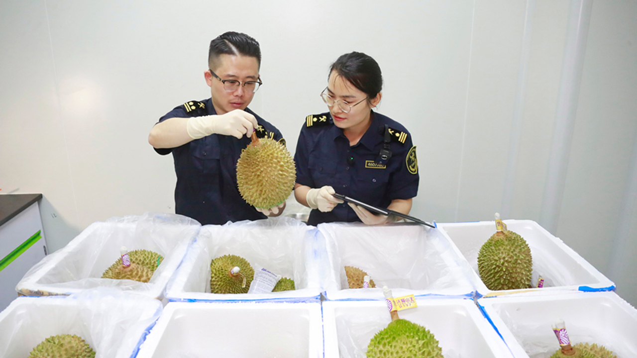 全球美味“飞”上中国餐桌