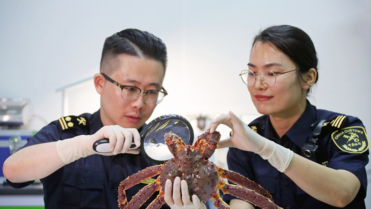 8.5小时跨洋“蟹”逅