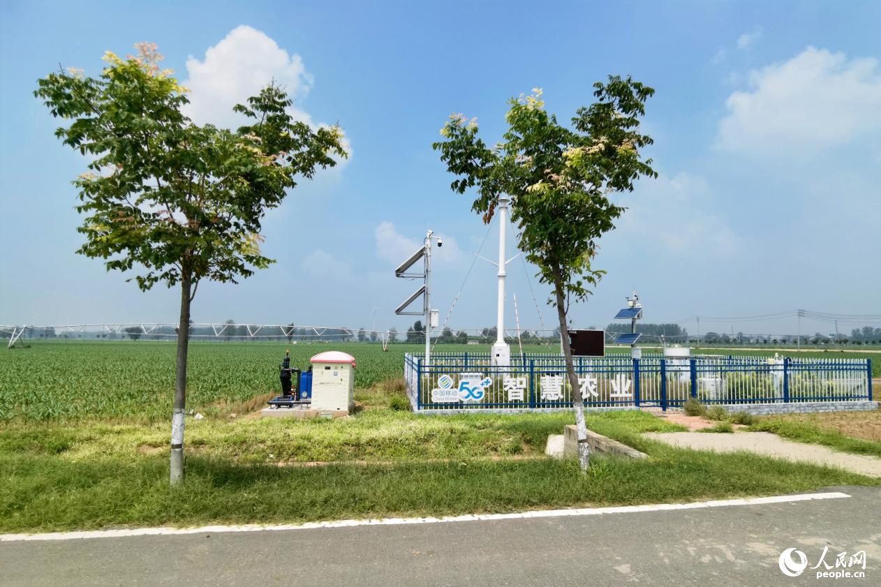 兰考县红庙镇高标准农田。人民网 程明辉摄