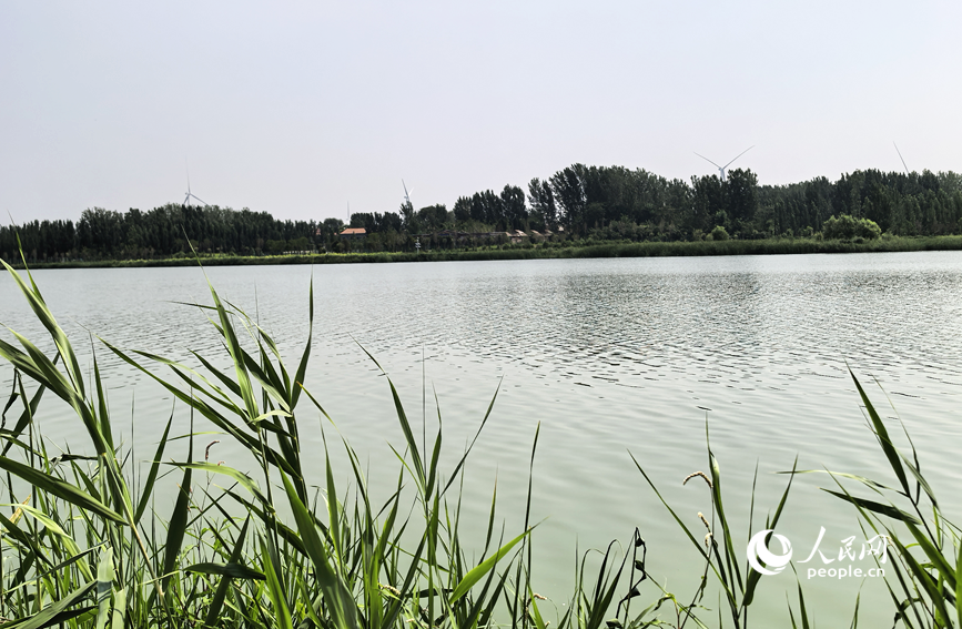 夏日青龙湖美景。人民网 辛静摄