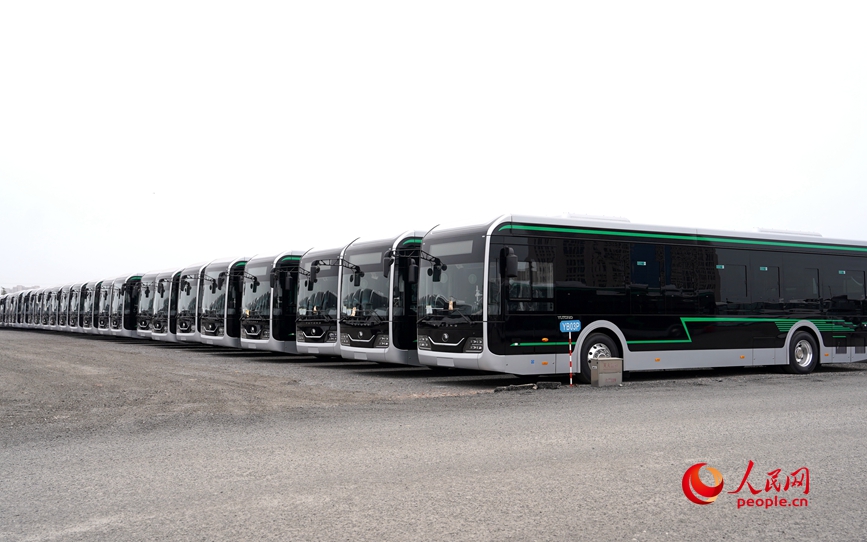 排列整齐待启运。人民网记者 慎志远摄