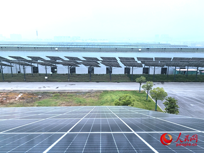 源网荷储一体化项目。人民网记者 王佩摄