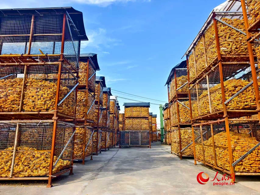 封丘县冯村乡种粮大户侯兰锋绿源家庭农场内的储粮铁笼整齐排列着。人民网 程明辉摄