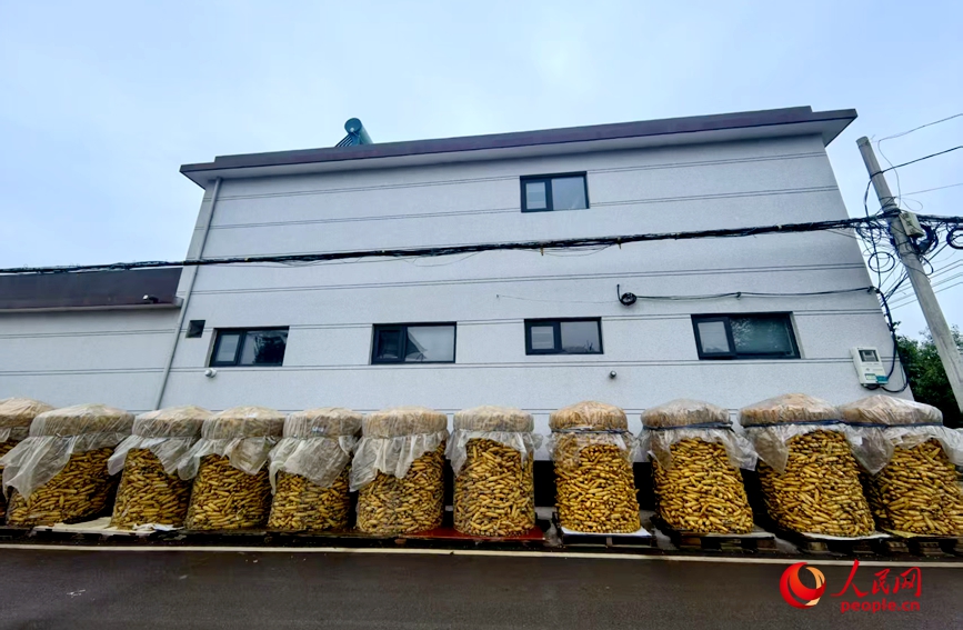 铁丝笼通风性好且成本低，类似这样的铁丝笼每个30元左右，能装约1000斤玉米。人民网 程明辉摄