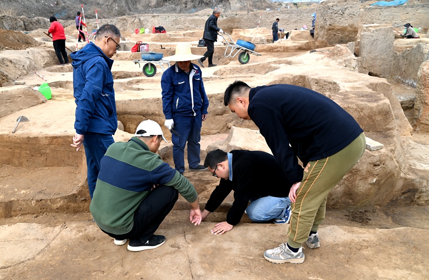 考古人员在郑州商城书院街北片区工作。河南省文物考古研究院供图