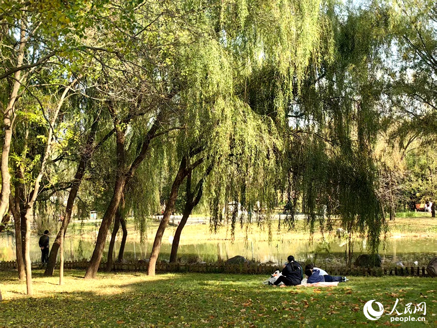 市民在赏秋。人民网记者 宋芳鑫摄