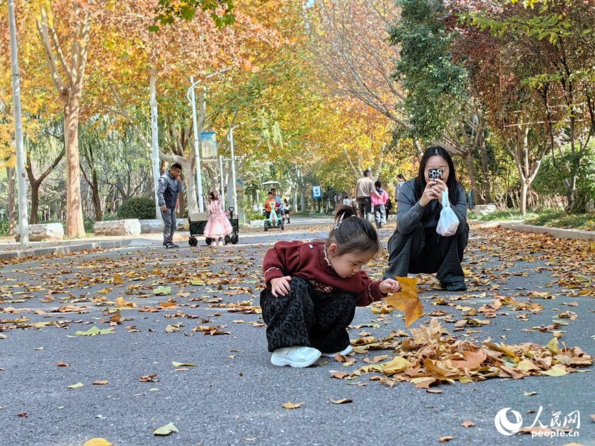 市民在赏秋。人民网记者 宋芳鑫摄