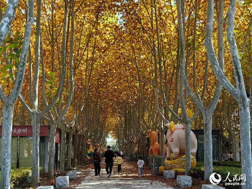 市民在赏秋。人民网记者 宋芳鑫摄