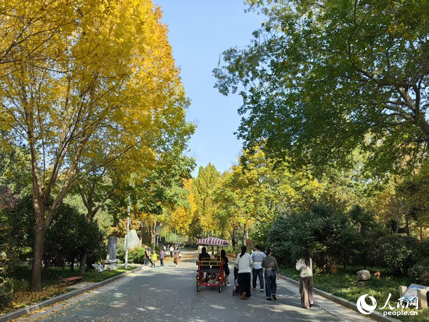 市民在赏秋。人民网记者 宋芳鑫摄
